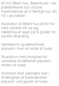 60 m2 SBark hus. Baseret på 1 stk. præfabrikeret box volume, indeholdende alt til færdigt hus. 60 m2 i grundplan.

Illustration af SBark hus på 60 m2 med vandret loft og tag. 
Hældning af taget på få grader for korrekt afvanding.

Værelserne og køkken/bad placeret i hver sin ende af huset. 

Stue/alrum med mulighed for udvidelse af køkkenet placeret i midten af huset.

Illustreret med udendørs bad i forlængelse af badeværelset placeret  ved gavlen af huset.



